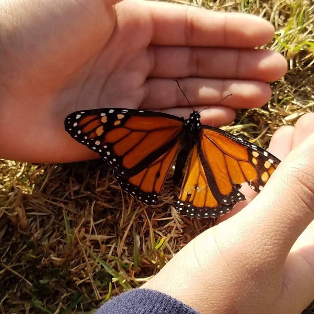 Meet your Posher, Gabriela